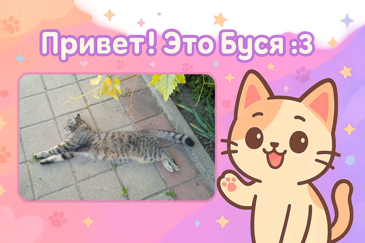 Баннер Буси